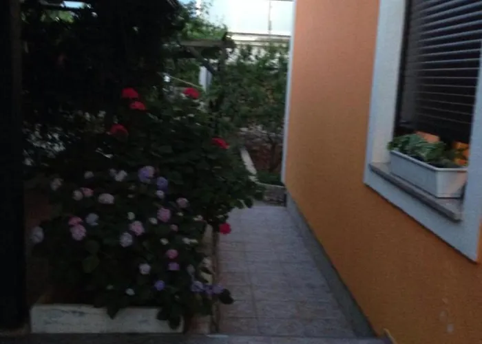 Apartman Bozena *
